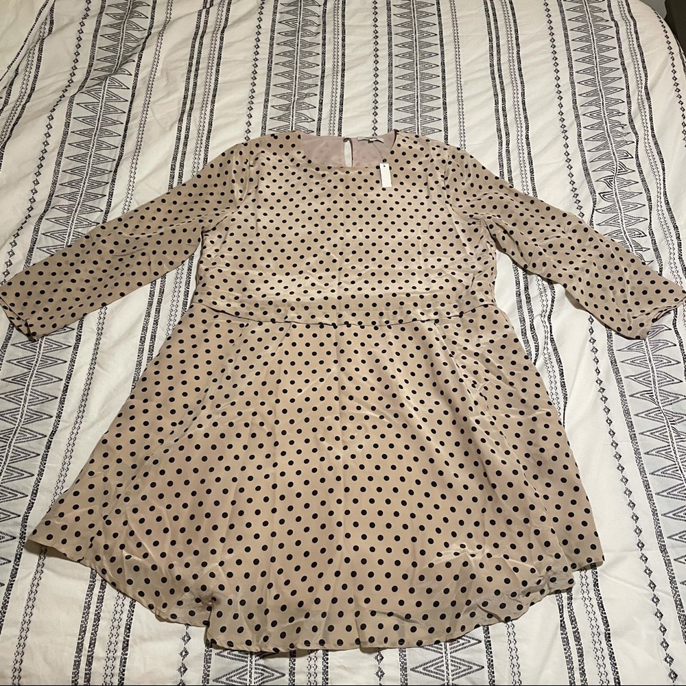 Madewell Cream Black Polkadot Spring Summer Dress
